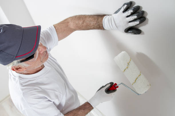 Best Airborne Mold Testing  in Kincaid, IL