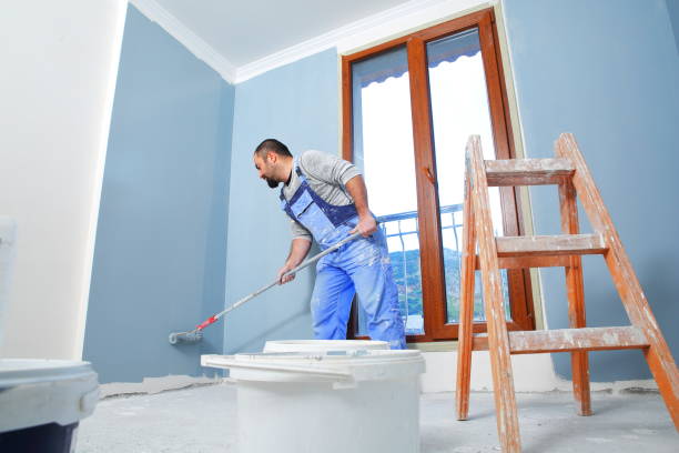 Best Mold Removal for HVAC Installations  in Kincaid, IL