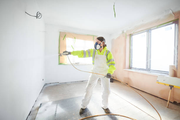 Best Basement Mold Removal  in Kincaid, IL