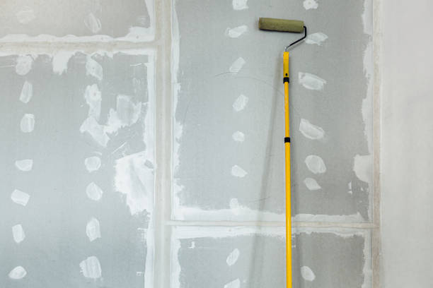 Best Crawl Space Mold Remediation  in Kincaid, IL