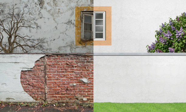 Best Water Damage & Mold Remediation  in Kincaid, IL