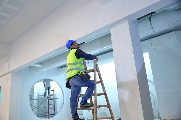 Forensic Mold Investigation in Kincaid, IL