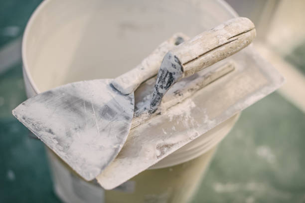 Best Mold Documentation for Insurance Claims  in Kincaid, IL