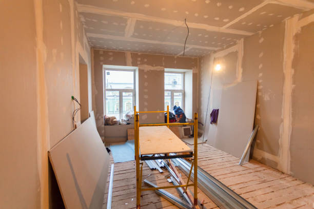 Best Water Damage & Mold Remediation  in Kincaid, IL